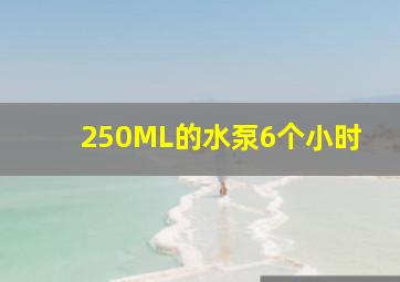 250ML的水泵6个小时