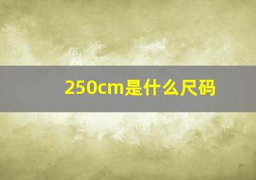 250cm是什么尺码