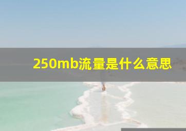 250mb流量是什么意思