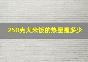 250克大米饭的热量是多少