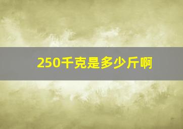 250千克是多少斤啊