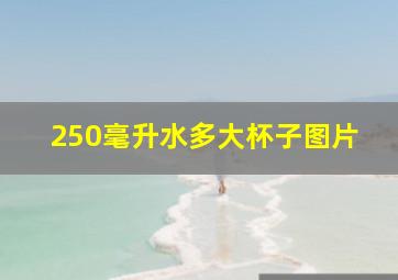 250毫升水多大杯子图片