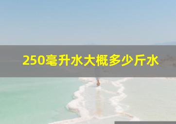 250毫升水大概多少斤水