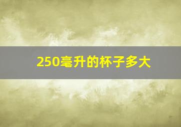 250毫升的杯子多大