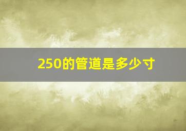 250的管道是多少寸