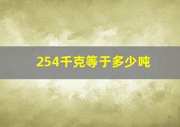 254千克等于多少吨