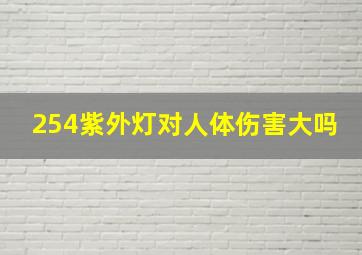 254紫外灯对人体伤害大吗