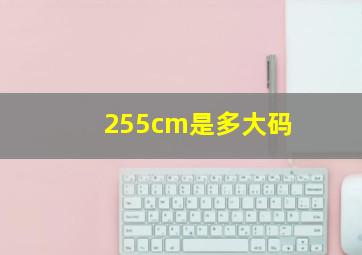 255cm是多大码