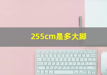 255cm是多大脚