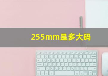 255mm是多大码