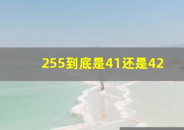 255到底是41还是42