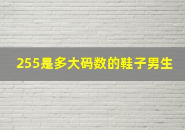 255是多大码数的鞋子男生