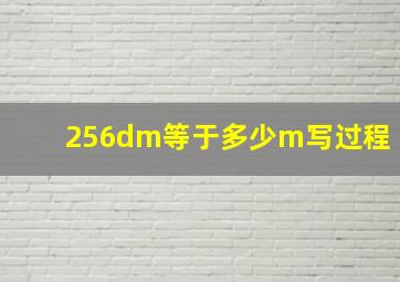 256dm等于多少m写过程