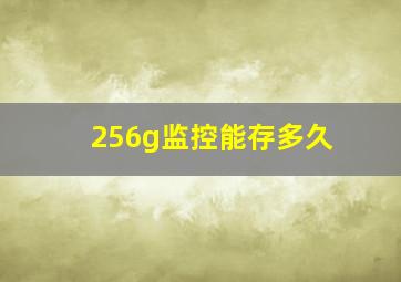 256g监控能存多久