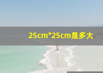 25cm*25cm是多大