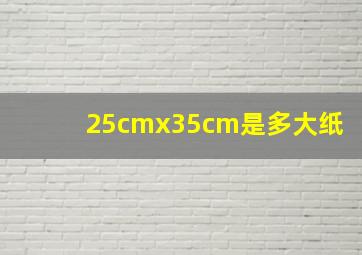 25cmx35cm是多大纸