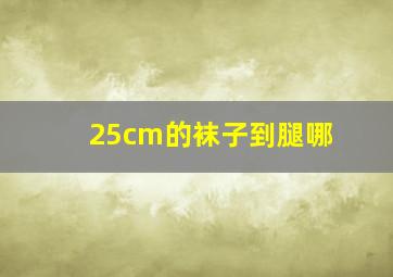 25cm的袜子到腿哪