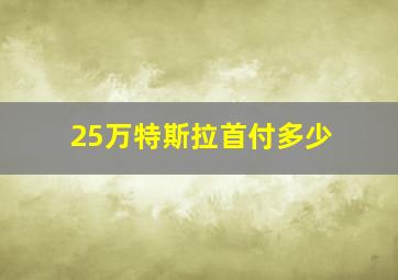 25万特斯拉首付多少