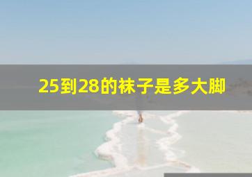 25到28的袜子是多大脚