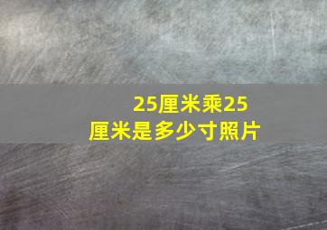 25厘米乘25厘米是多少寸照片