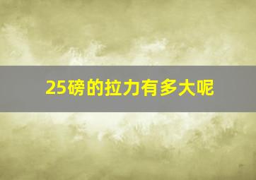 25磅的拉力有多大呢