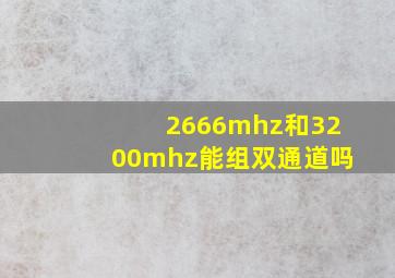 2666mhz和3200mhz能组双通道吗