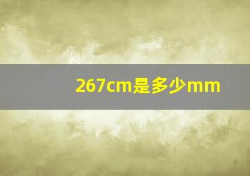 267cm是多少mm