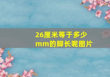 26厘米等于多少mm的脚长呢图片