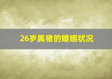 26岁属猪的婚姻状况