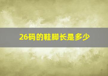 26码的鞋脚长是多少