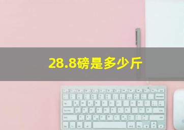 28.8磅是多少斤