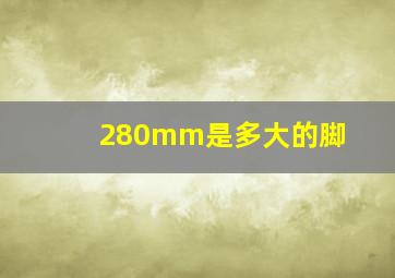 280mm是多大的脚