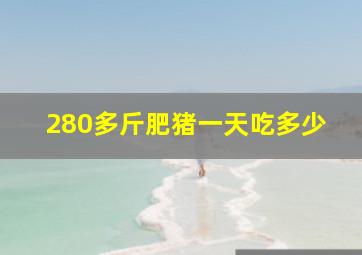 280多斤肥猪一天吃多少