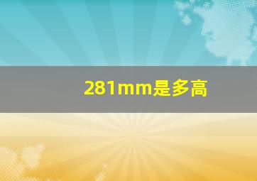 281mm是多高