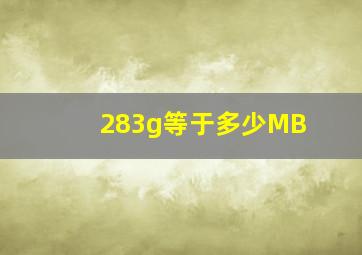 283g等于多少MB