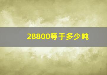 28800等于多少吨