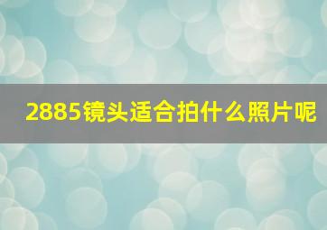 2885镜头适合拍什么照片呢