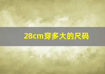 28cm穿多大的尺码