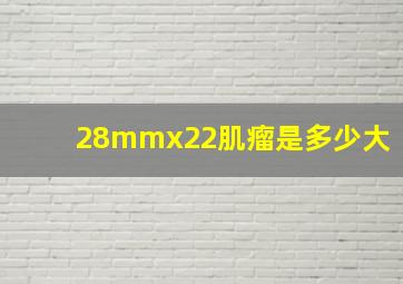 28mmx22肌瘤是多少大