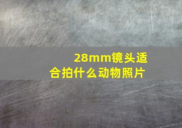 28mm镜头适合拍什么动物照片