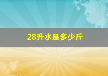 28升水是多少斤