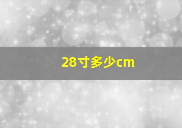 28寸多少cm