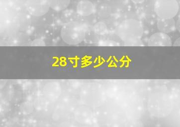 28寸多少公分