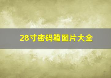 28寸密码箱图片大全