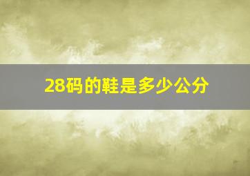 28码的鞋是多少公分