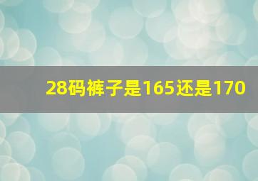 28码裤子是165还是170