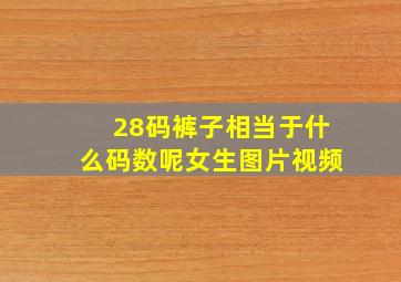 28码裤子相当于什么码数呢女生图片视频