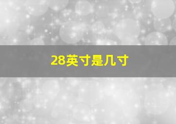 28英寸是几寸