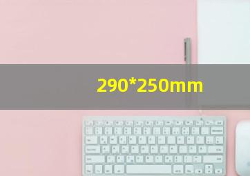 290*250mm