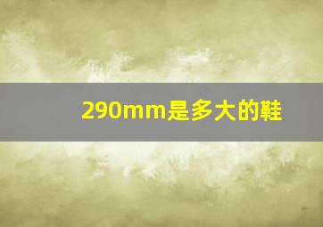 290mm是多大的鞋